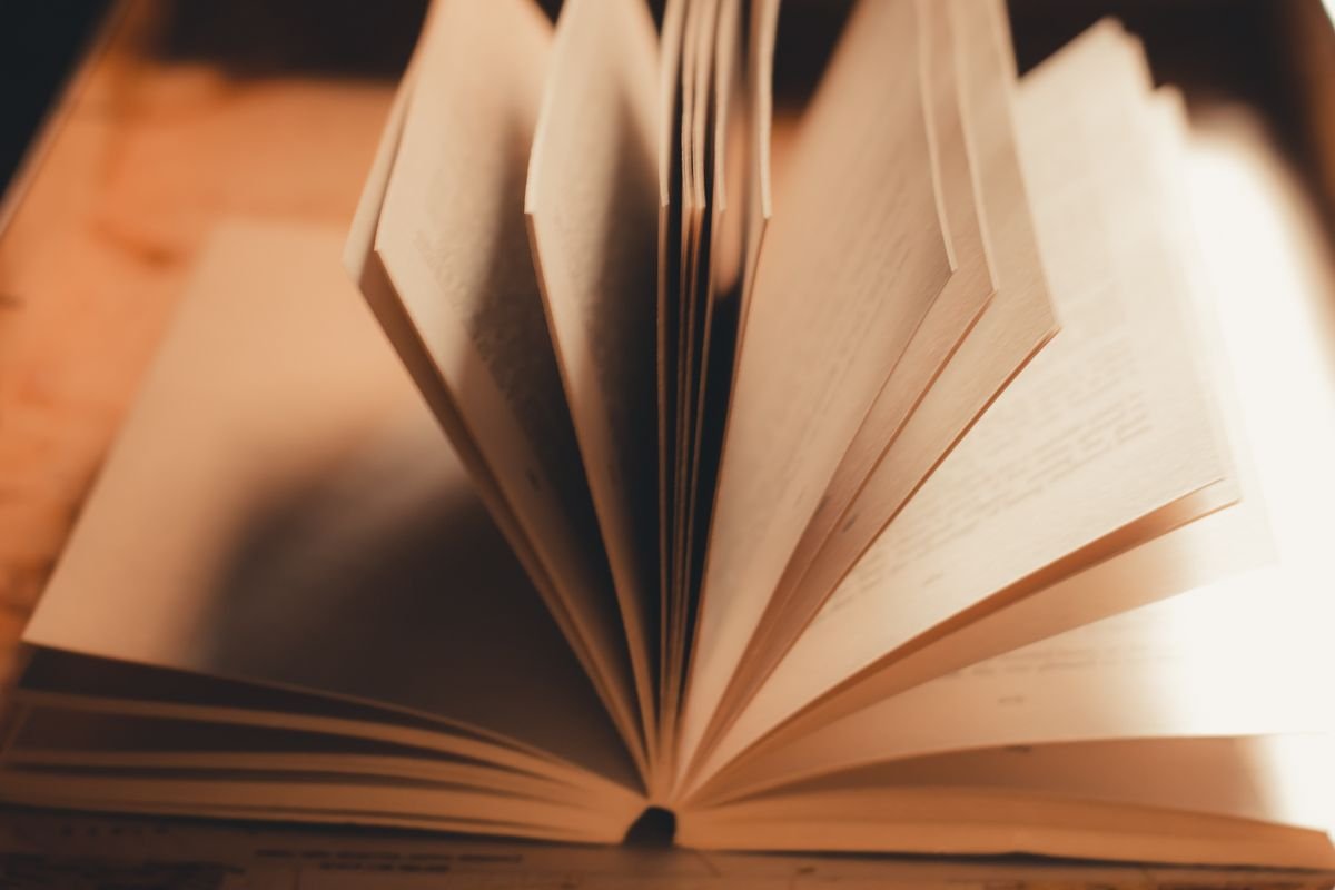 Open book with pages fanned out, showing chapter divisions